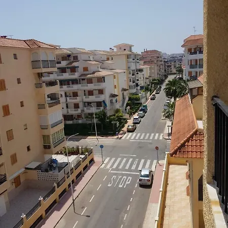 Belgica -nice In La Mata